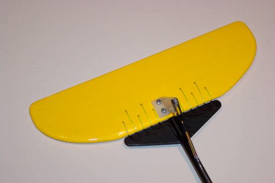 tail.jpg